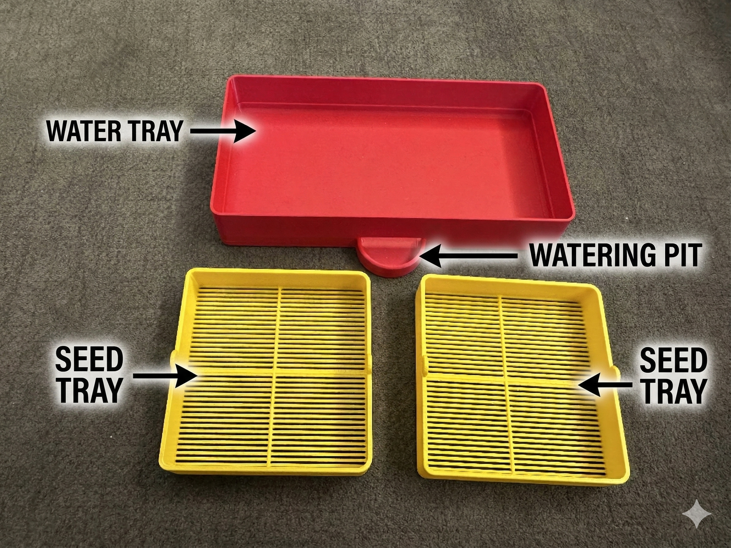 BEEJ - Kids Hydroponic Microgreens Grow Kit – Learn, Grow & Eat Fresh!