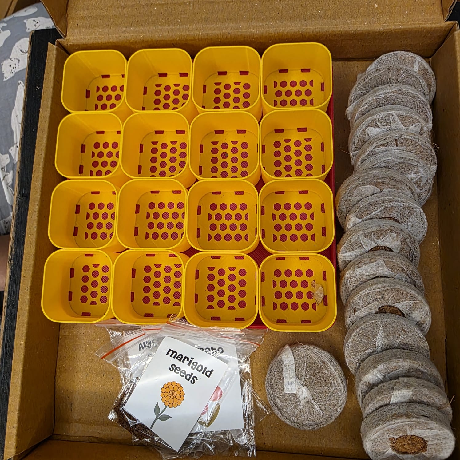 BEEJ - A Personalised SEED STARTER KIT | Grow Your Own Plants at Home | 16 POTS