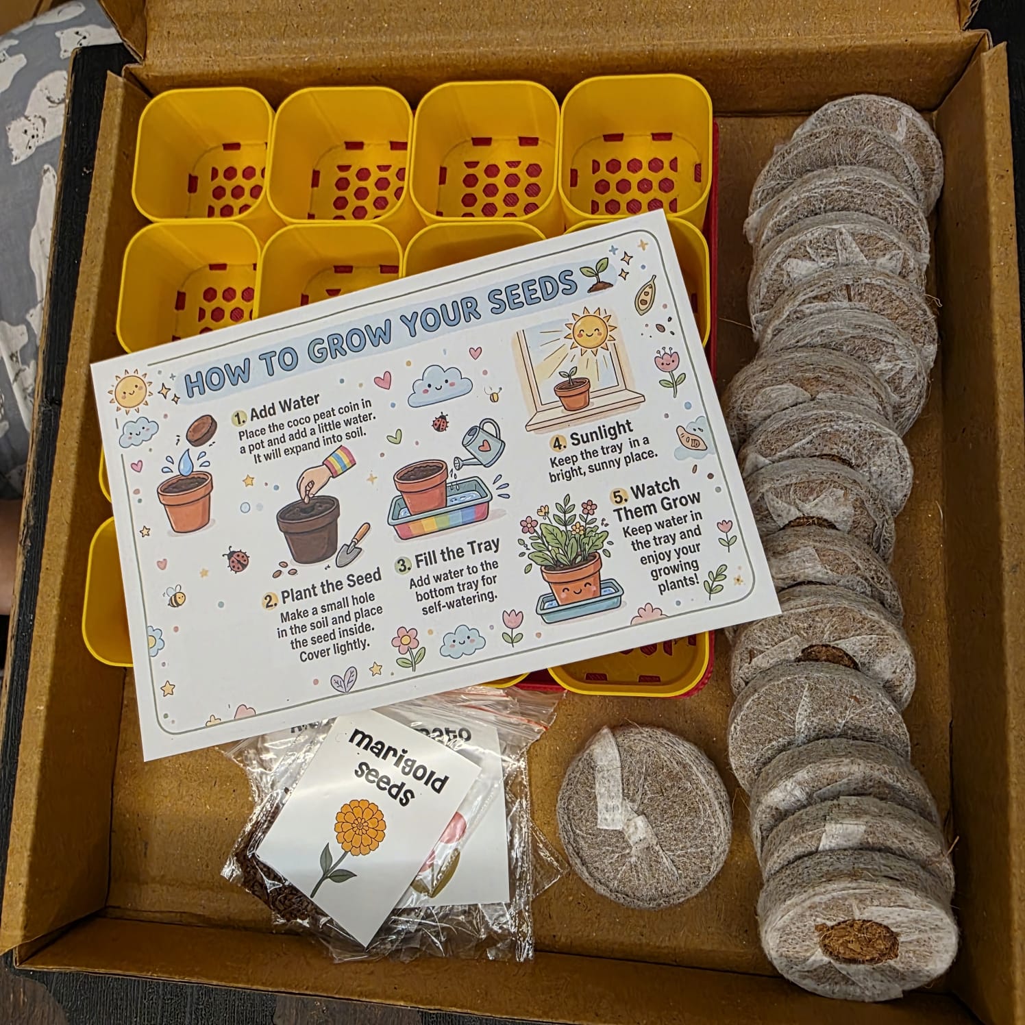 BEEJ - A Personalised SEED STARTER KIT | Grow Your Own Plants at Home | 16 POTS