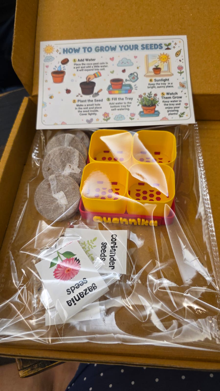 BEEJ - A Personalised SEED STARTER KIT | Grow Your Own Plants at Home | 4 POTS