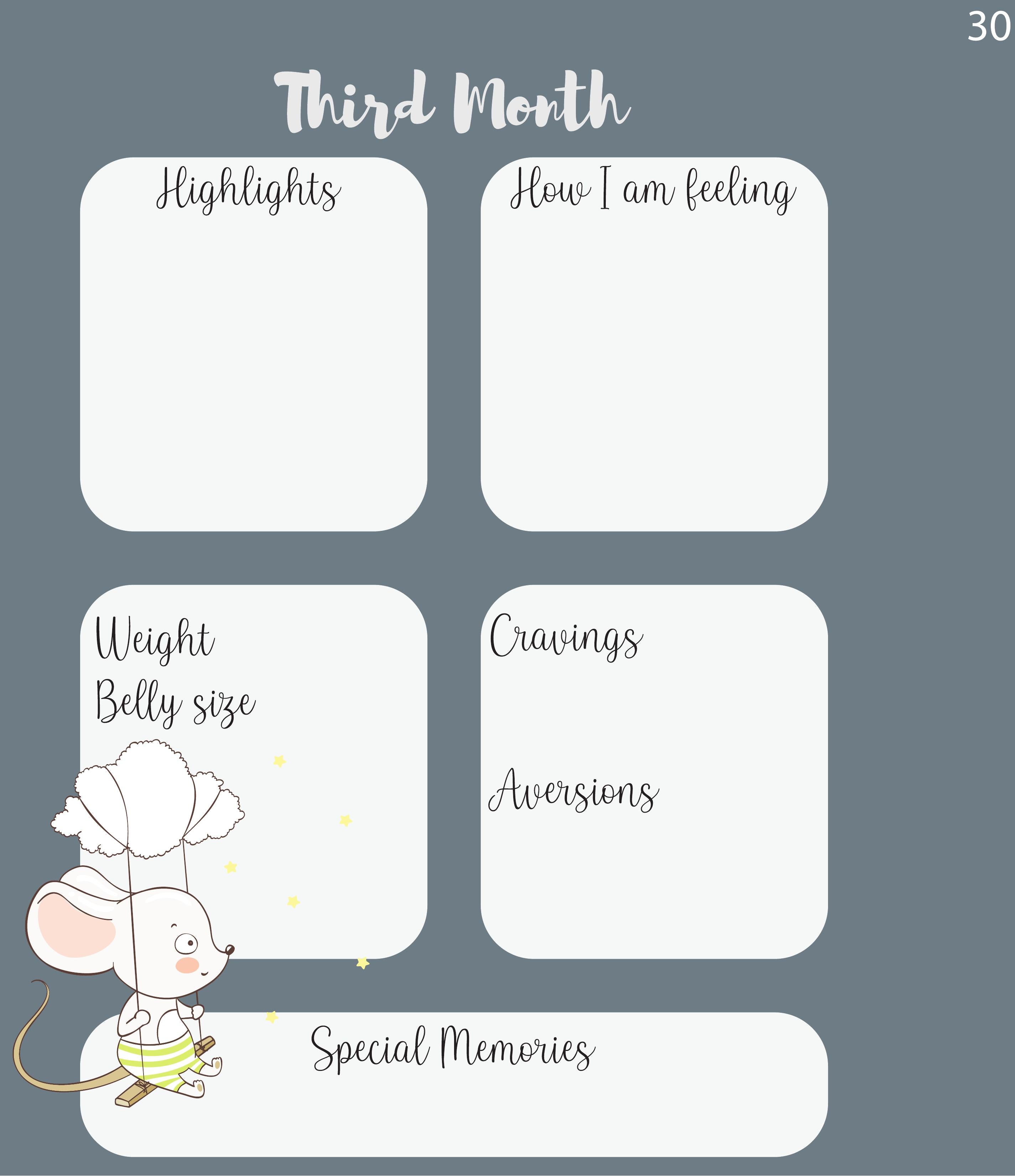 Pregnancy Journal with Photo Cover The Happy Hippo