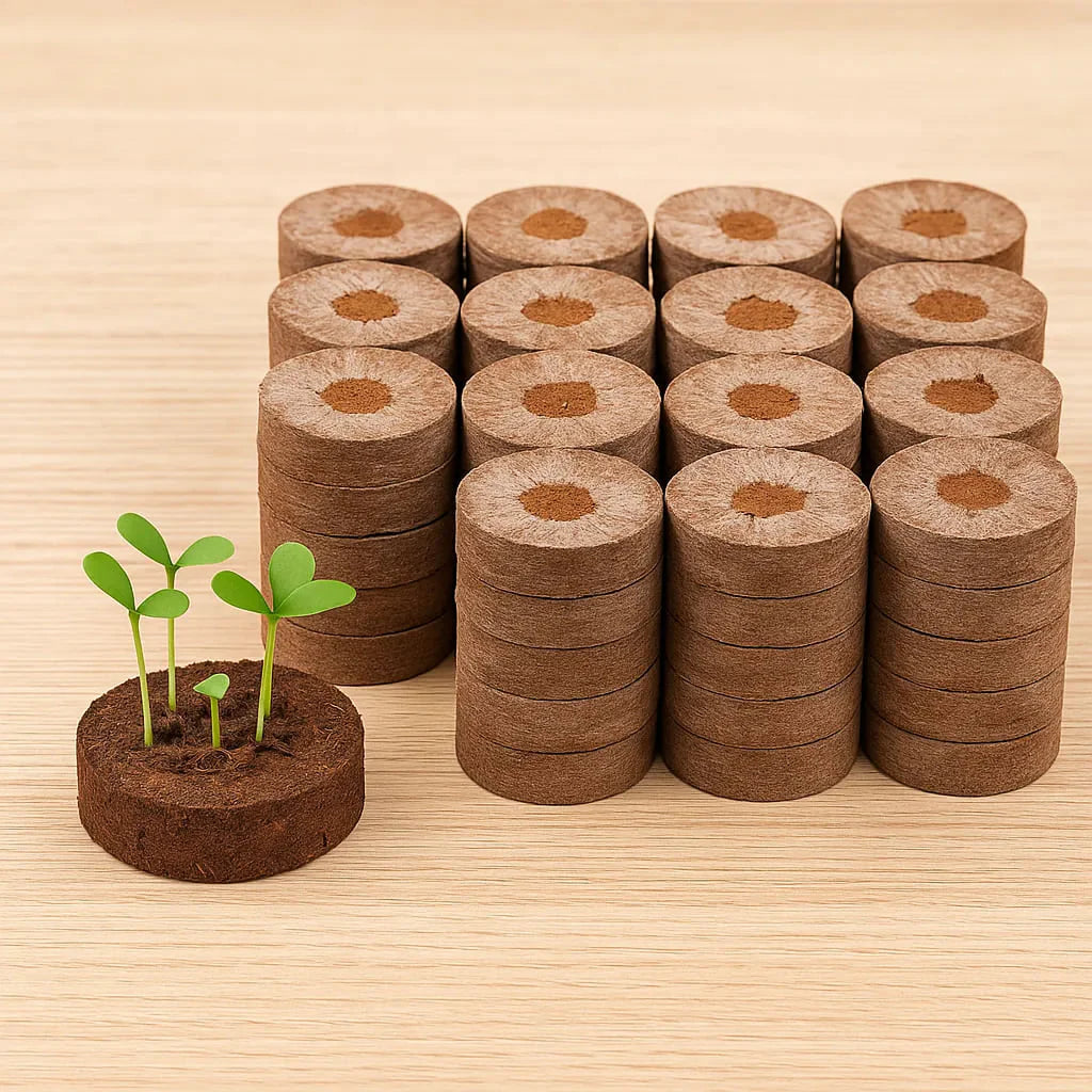 BEEJ - A Personalised SEED STARTER KIT | Grow Your Own Plants at Home | 16 POTS